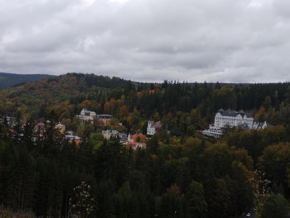 Apartman Friedrichsruh Διαμέρισμα Mariánské Lázně Εξωτερικό φωτογραφία