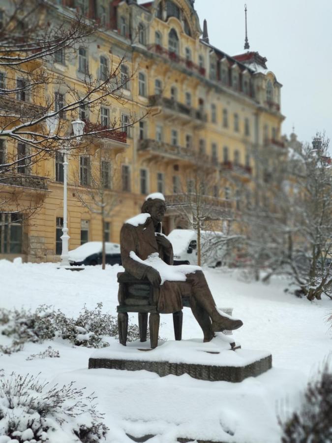 Apartman Friedrichsruh Διαμέρισμα Mariánské Lázně Εξωτερικό φωτογραφία