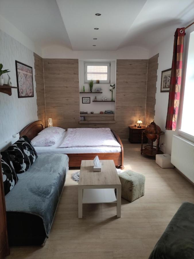 Apartman Friedrichsruh Διαμέρισμα Mariánské Lázně Εξωτερικό φωτογραφία