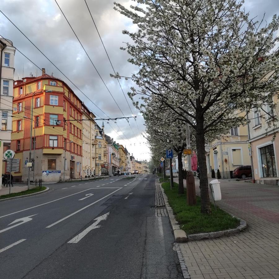 Apartman Friedrichsruh Διαμέρισμα Mariánské Lázně Εξωτερικό φωτογραφία