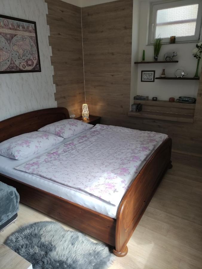 Apartman Friedrichsruh Διαμέρισμα Mariánské Lázně Εξωτερικό φωτογραφία