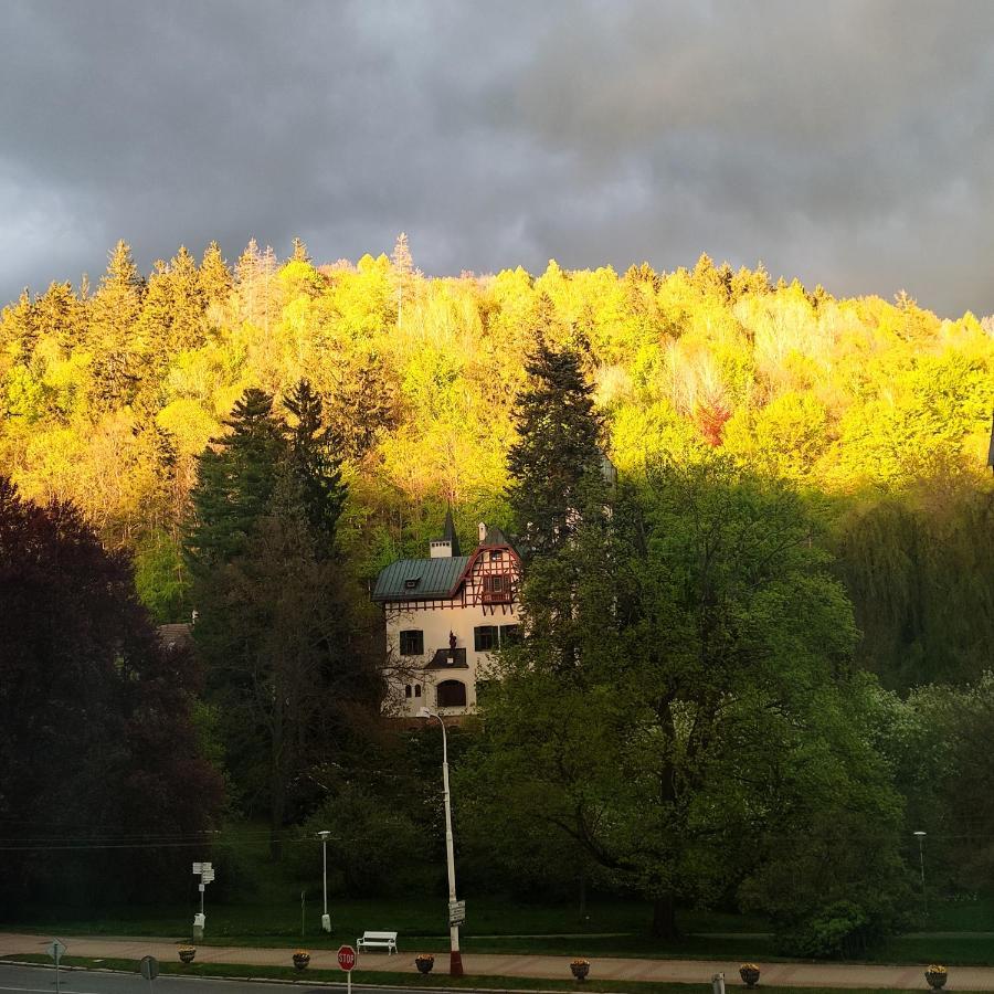 Apartman Friedrichsruh Διαμέρισμα Mariánské Lázně Εξωτερικό φωτογραφία