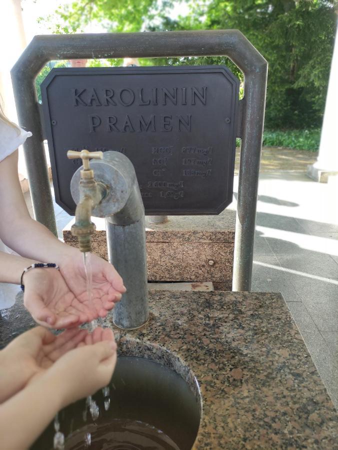 Apartman Friedrichsruh Διαμέρισμα Mariánské Lázně Εξωτερικό φωτογραφία