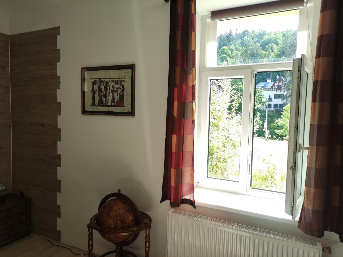 Apartman Friedrichsruh Διαμέρισμα Mariánské Lázně Εξωτερικό φωτογραφία