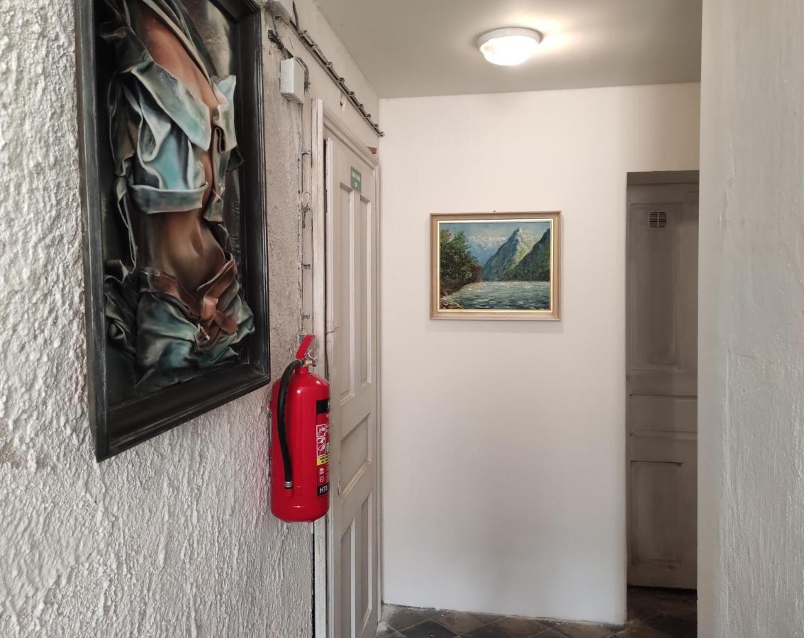 Apartman Friedrichsruh Διαμέρισμα Mariánské Lázně Εξωτερικό φωτογραφία