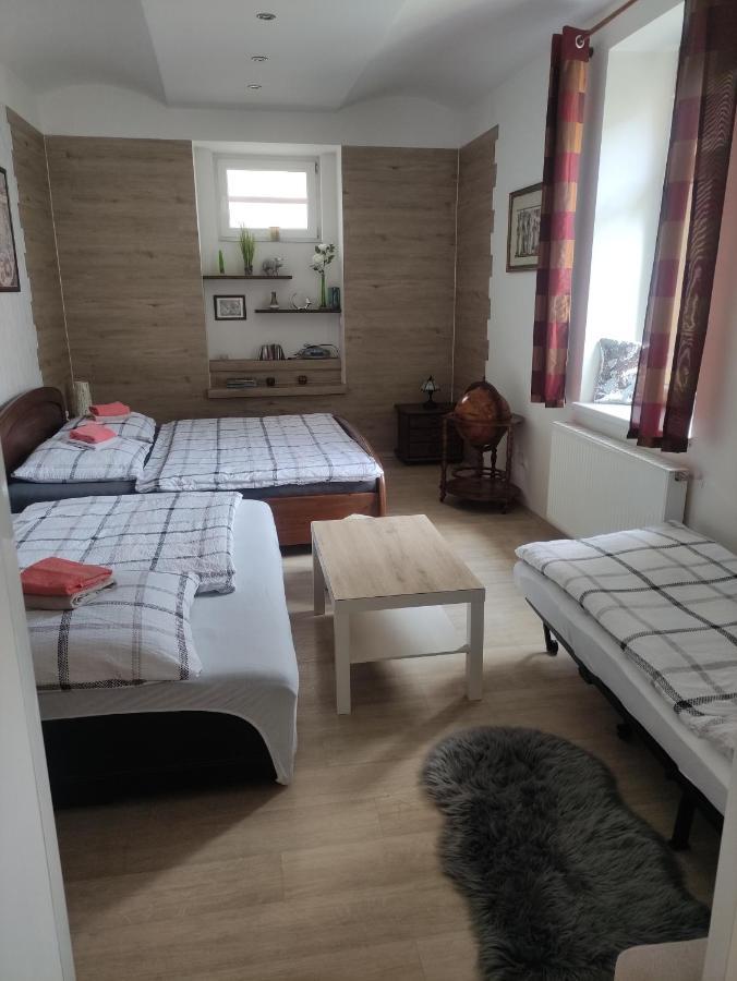 Apartman Friedrichsruh Διαμέρισμα Mariánské Lázně Εξωτερικό φωτογραφία